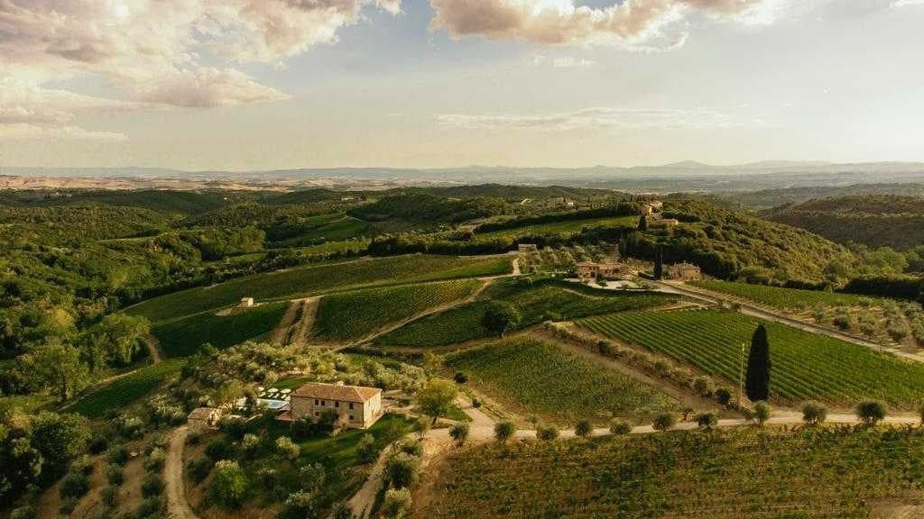 L'azienda vinicola Boschetto Campacci